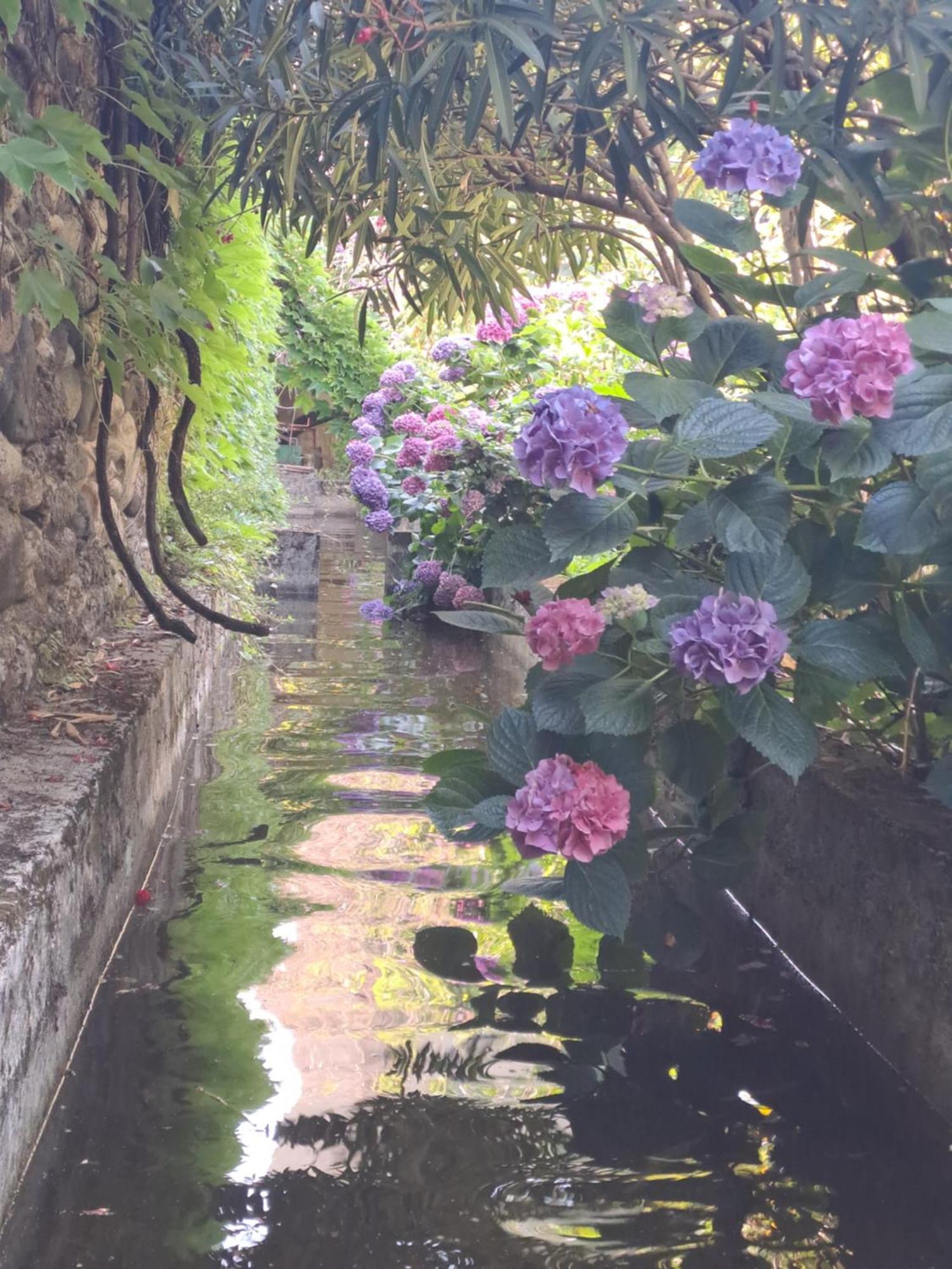 Gite 3 "Le Canal De Baza" Aux Magnolias Aubenas Exterior photo